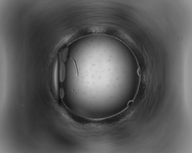 X0000087340733200704201145