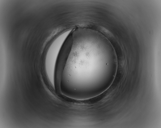 X0000087340734200704201145