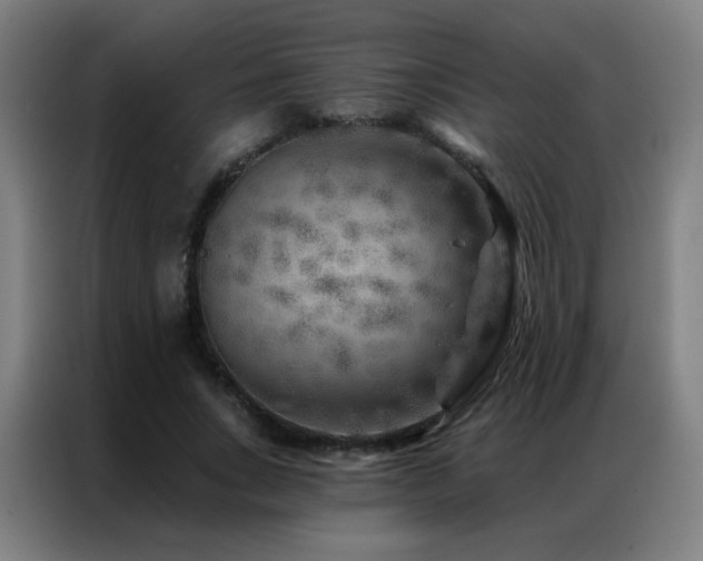 X0000087340735200704201145