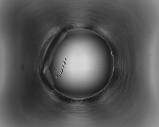 X0000087340738200704201145