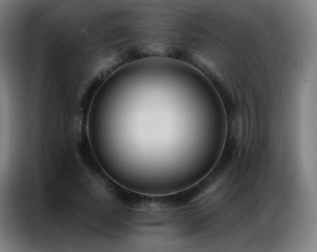 X0000087340739200704201145