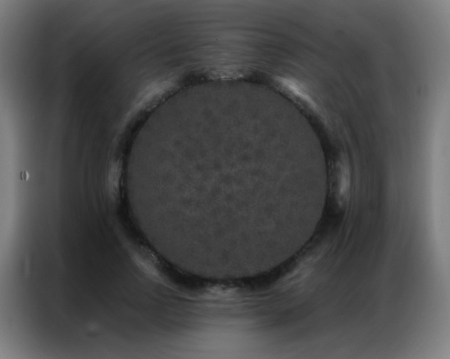 X0000087340742200704201145