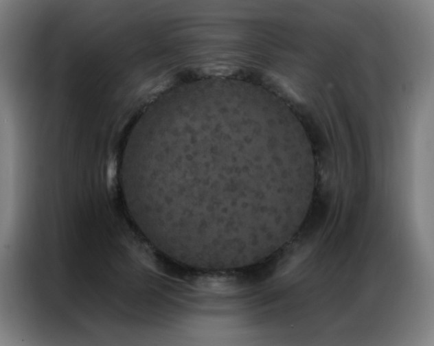 X0000087340745200704201145