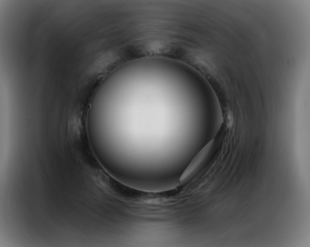 X0000087340746200704201145