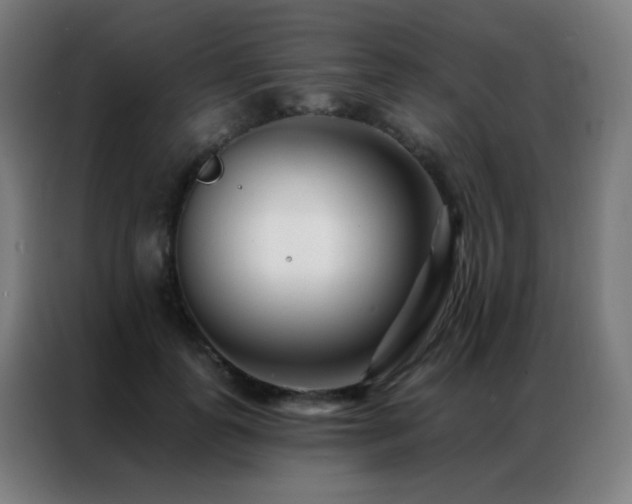 X0000087340747200704201145