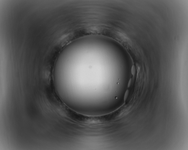 X0000087340749200704201145