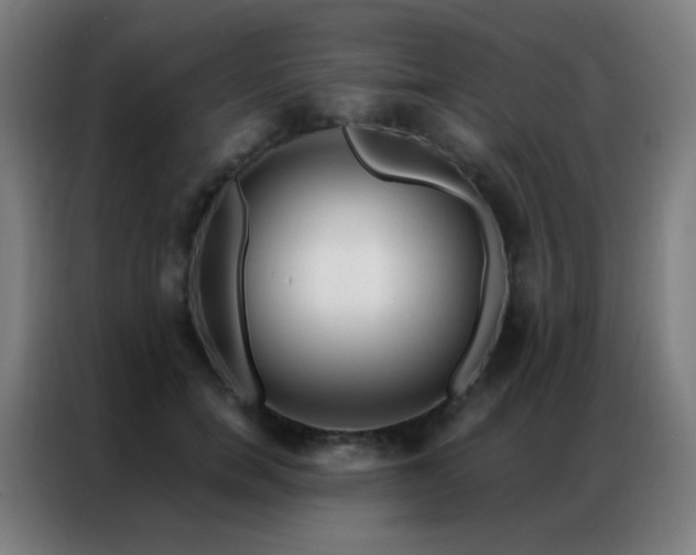X0000087340750200704201145
