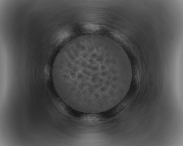 X0000087340758200704201145