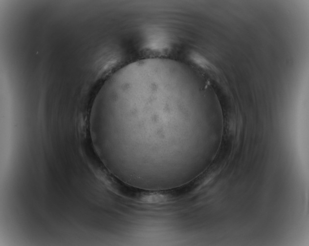 X0000087340759200704201145