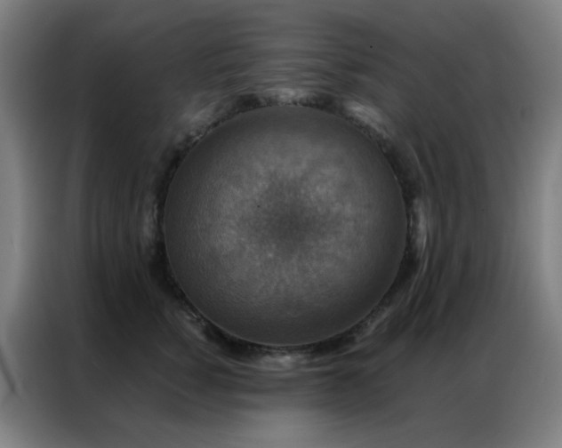 X0000087340760200704201145