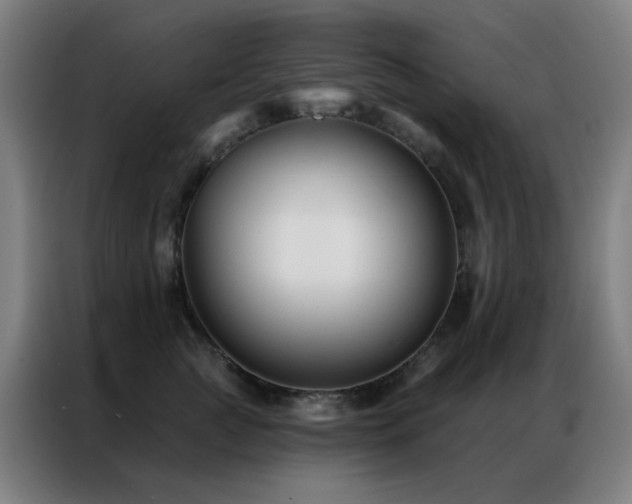 X0000087340761200704201145