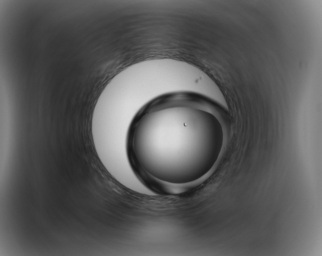 X0000087340768200704201145