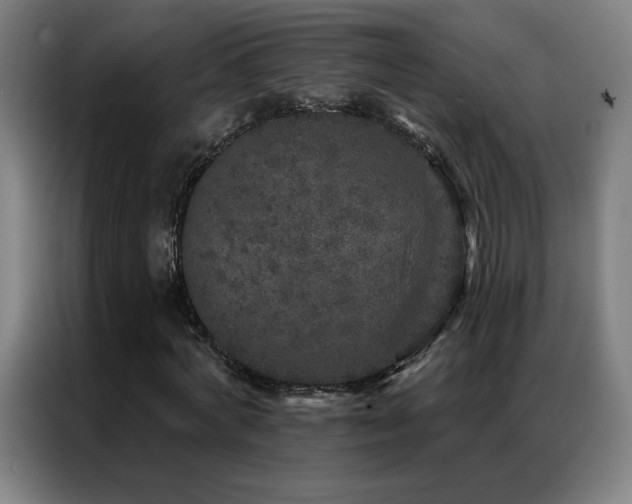 X0000087340772200704201145