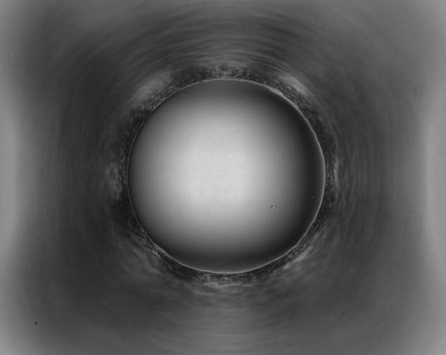 X0000087340774200704201145