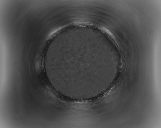 X0000087340775200704201145