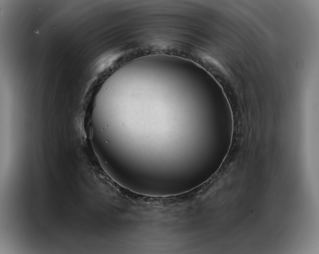X0000087340776200704201145