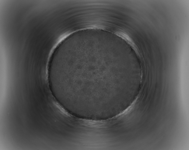 X0000087340780200704201145