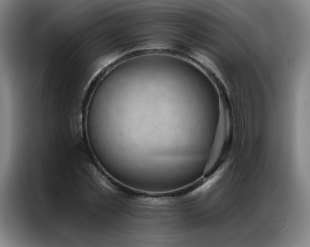 X0000087340781200704201145