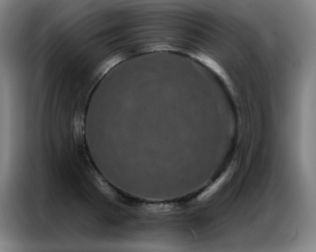 X0000087340793200704201144