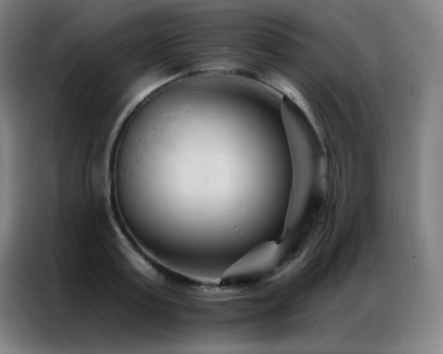 X0000087340795200704201144