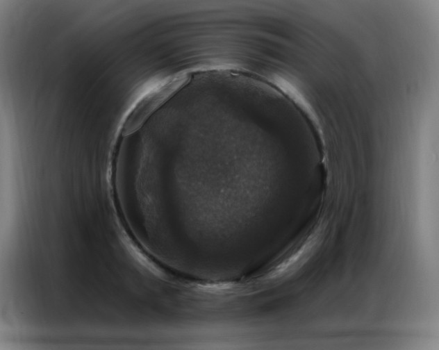 X0000087340797200704201144