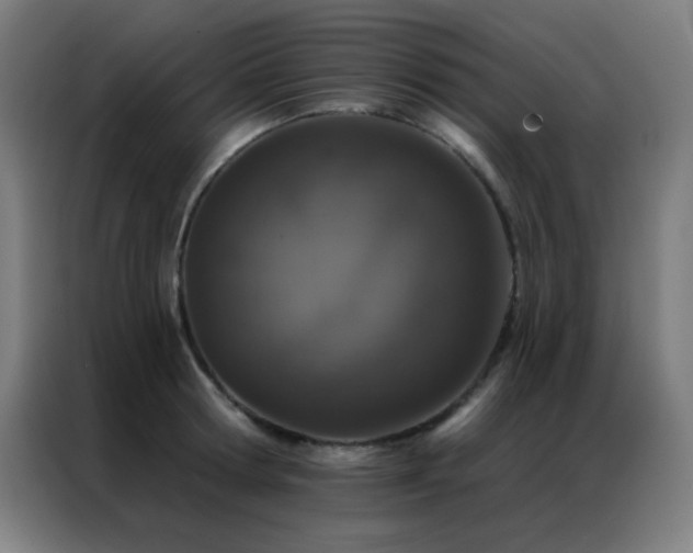 X0000087340802200704201144