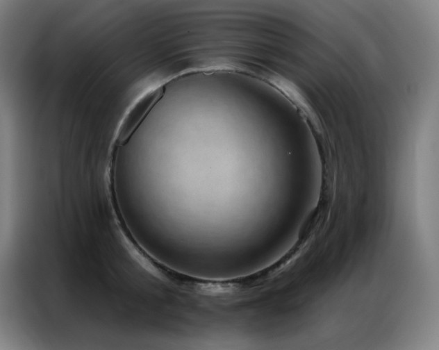 X0000087340805200704201144