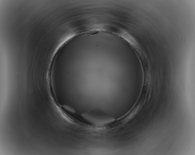 X0000087340806200704201144