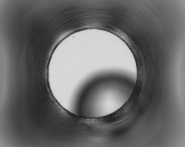 X0000087340807200704201144