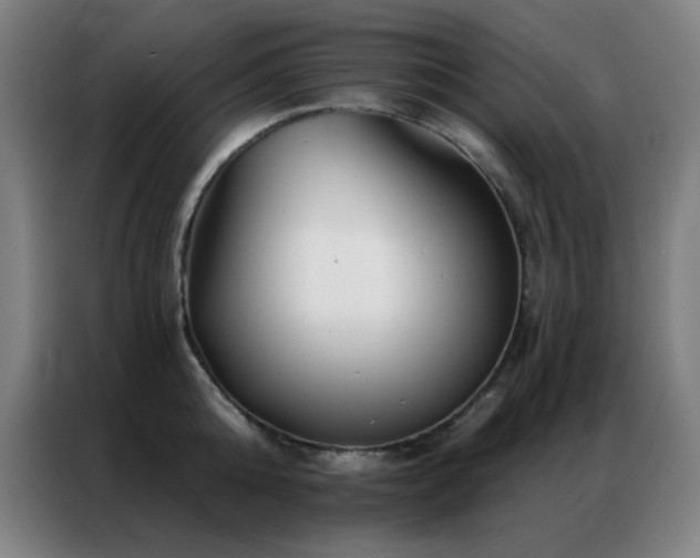 X0000087340808200704201144