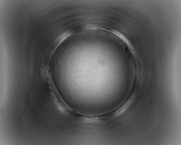 X0000087340809200704201144