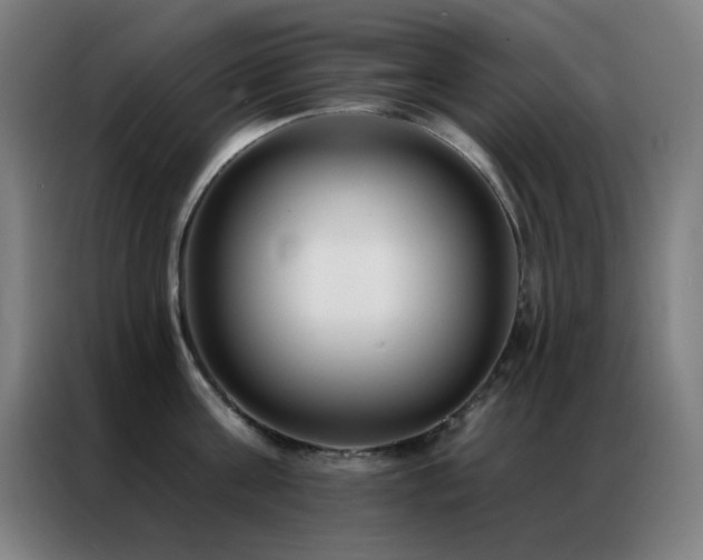 X0000087340811200704201144