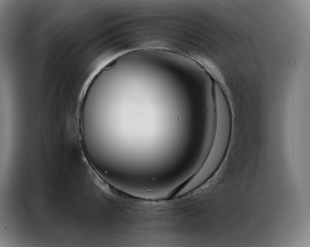 X0000087340816200704201144