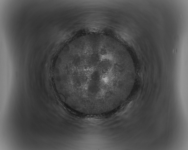 X0000087340817200704201144