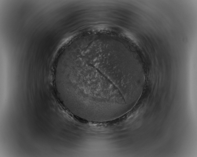 X0000087340823200704201144
