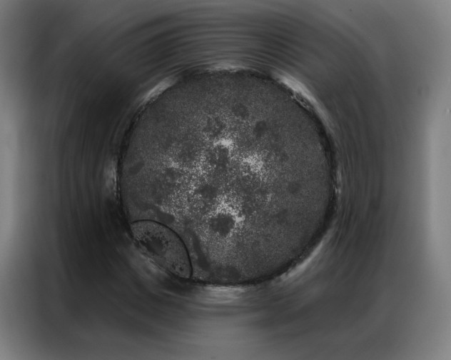 X0000087340825200704201144