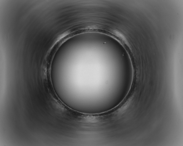 X0000087340827200704201144