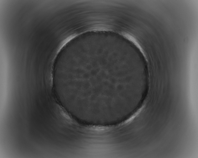 X0000087340829200704201144