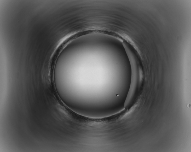 X0000087340830200704201144