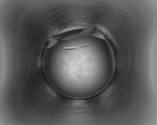 X0000087340833200704201144