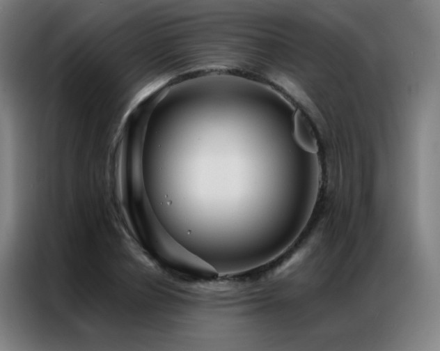 X0000087340834200704201144