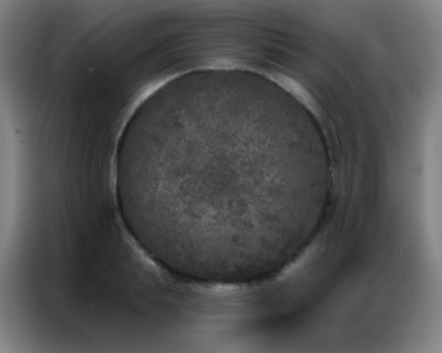 X0000087340839200704201144