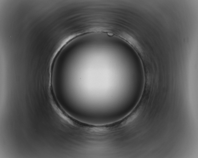 X0000087340844200704201144