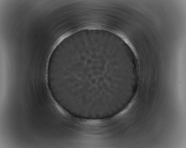 X0000087340845200704201144