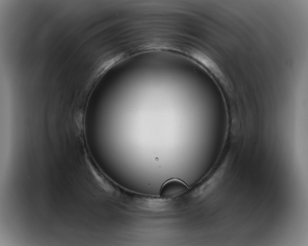 X0000087340849200704201144