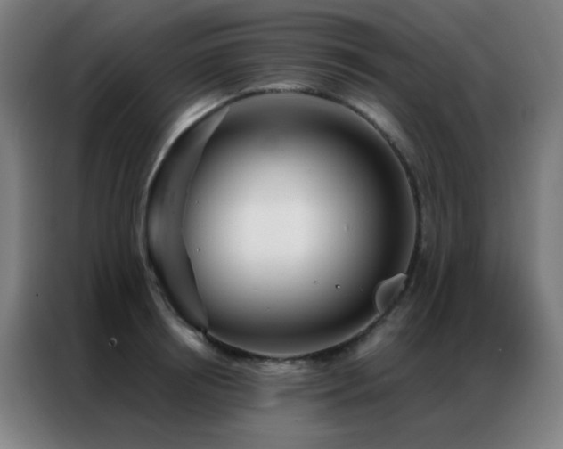 X0000087340850200704201144