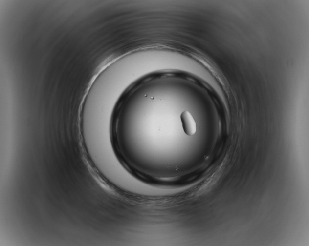 X0000087340858200704201144