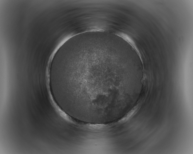 X0000087340859200704201144