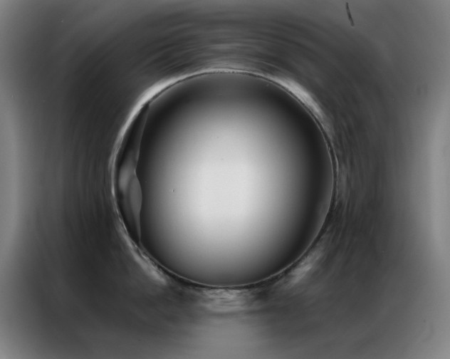 X0000087340862200704201144