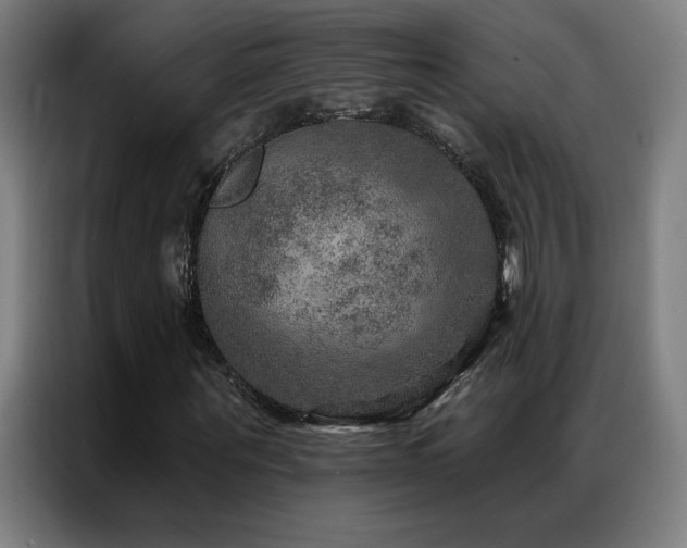 X0000087340867200704201144